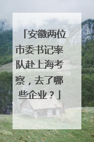 安徽两位市委书记率队赴上海考察，去了哪些企业？