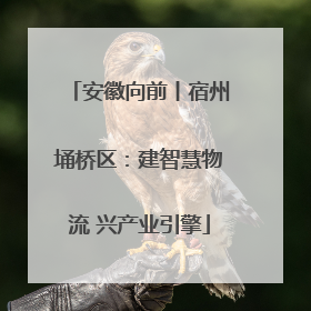安徽向前丨宿州埇桥区：建智慧物流 兴产业引擎