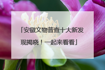安徽文物普查十大新发现揭晓！一起来看看