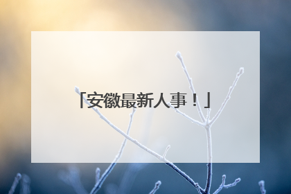 安徽最新人事！