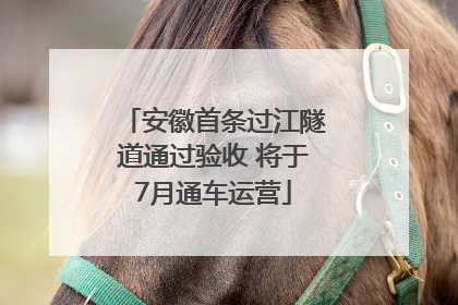 安徽首条过江隧道通过验收 将于7月通车运营