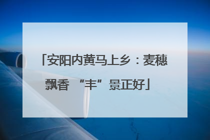 安阳内黄马上乡：麦穗飘香 “丰”景正好