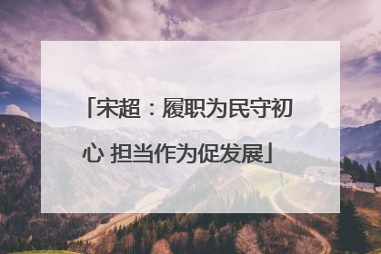 宋超：履职为民守初心 担当作为促发展