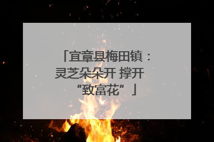 宜章县梅田镇：灵芝朵朵开 撑开“致富花”