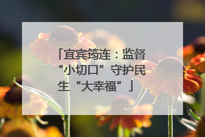 宜宾筠连：监督“小切口”守护民生“大幸福”
