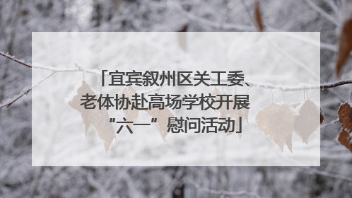 宜宾叙州区关工委、老体协赴高场学校开展“六一”慰问活动
