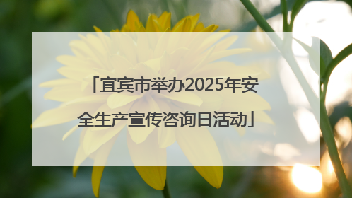宜宾市举办2025年安全生产宣传咨询日活动