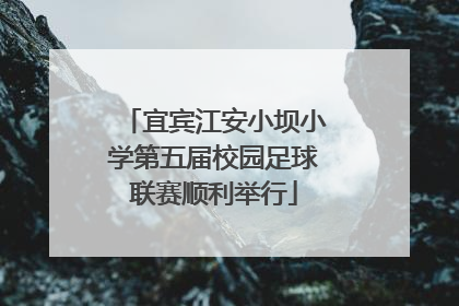 宜宾江安小坝小学第五届校园足球联赛顺利举行
