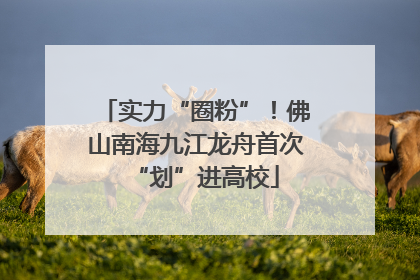实力“圈粉”！佛山南海九江龙舟首次“划”进高校