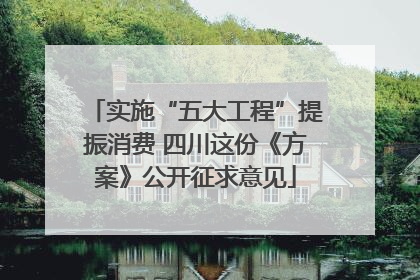 实施“五大工程”提振消费 四川这份《方案》公开征求意见