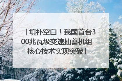 填补空白！我国首台300兆瓦级变速抽蓄机组核心技术实现突破