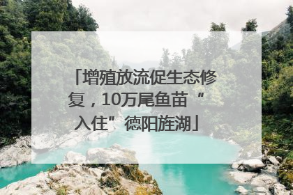 增殖放流促生态修复，10万尾鱼苗“入住”德阳旌湖
