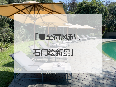 夏至荷风起，石门绘新景