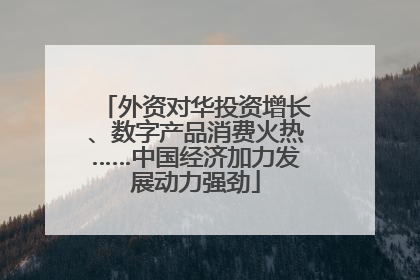 外资对华投资增长、数字产品消费火热……中国经济加力发展动力强劲