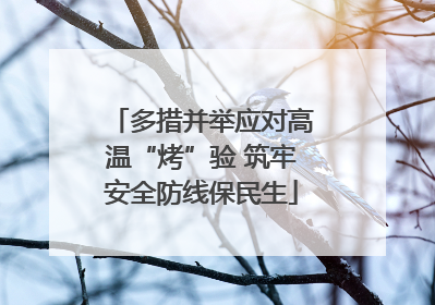多措并举应对高温“烤”验 筑牢安全防线保民生