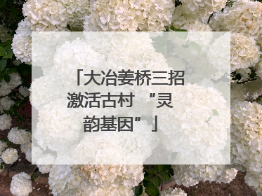 大冶姜桥三招激活古村 “灵韵基因”