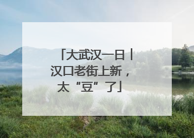 大武汉一日︱汉口老街上新，太“豆”了