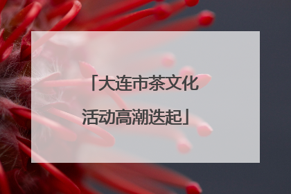 大连市茶文化活动高潮迭起