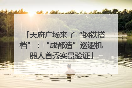 天府广场来了“钢铁搭档”：“成都造”巡逻机器人首秀实景验证