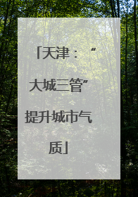 天津：“大城三管”提升城市气质