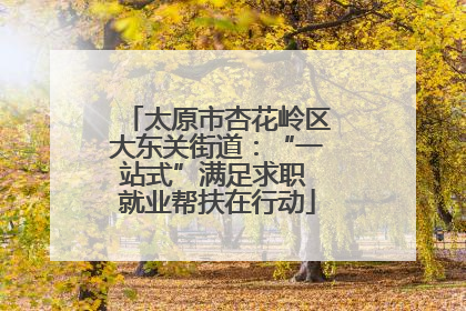 太原市杏花岭区大东关街道：“一站式”满足求职 就业帮扶在行动
