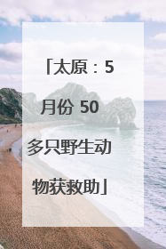 太原：5月份 50多只野生动物获救助