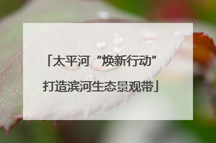 太平河“焕新行动” 打造滨河生态景观带