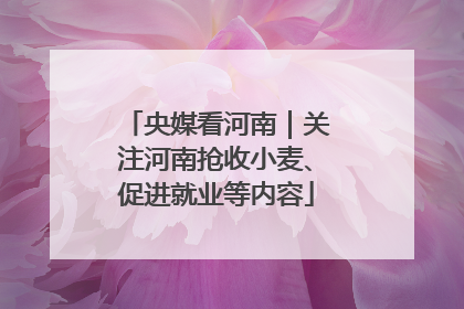央媒看河南｜关注河南抢收小麦、促进就业等内容