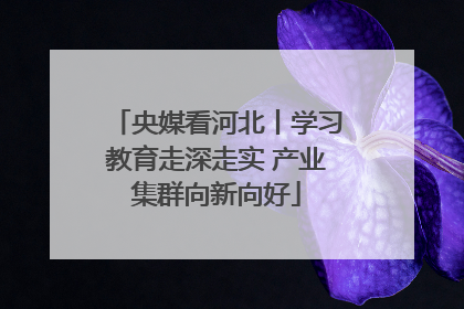 央媒看河北丨学习教育走深走实 产业集群向新向好