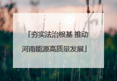 夯实法治根基 推动河南能源高质量发展