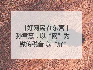 好网民·在东营｜孙雪慧：以“网”为媒传税音 以“屏”为介助发展