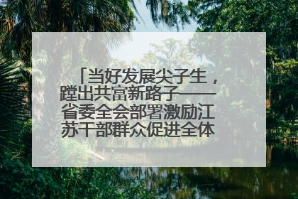 当好发展尖子生，蹚出共富新路子——省委全会部署激励江苏干部群众促进全体人民共同富裕