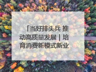 当好排头兵 推动高质量发展｜培育消费新模式新业态 释放经济增长新动能