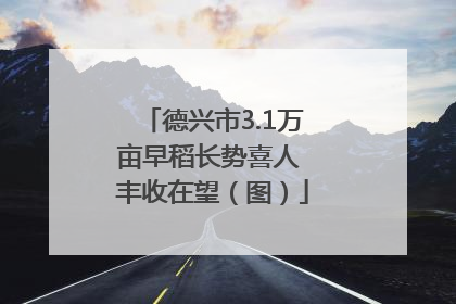 德兴市3.1万亩早稻长势喜人 丰收在望（图）