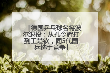 德国乒乓球名将波尔退役：从孔令辉打到王楚钦，同5代国乒选手竞争