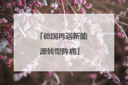 德国再遇新能源转型阵痛