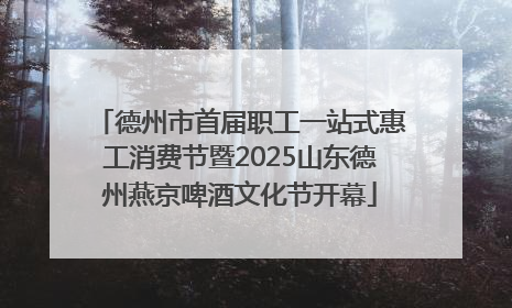 德州市首届职工一站式惠工消费节暨2025山东德州燕京啤酒文化节开幕