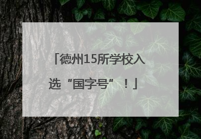 德州15所学校入选“国字号”！