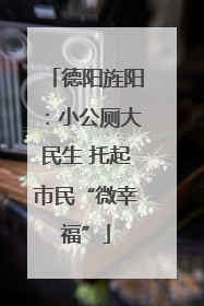 德阳旌阳：小公厕大民生 托起市民“微幸福”