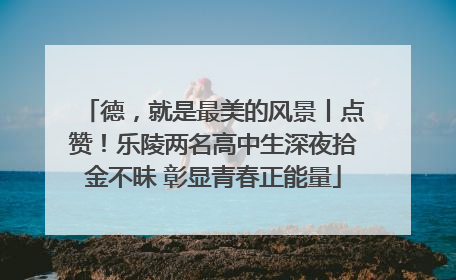 德，就是最美的风景丨点赞！乐陵两名高中生深夜拾金不昧 彰显青春正能量