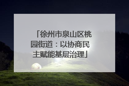 徐州市泉山区桃园街道：以协商民主赋能基层治理