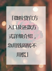 微粒贷官方入口及还款方式详细介绍，急用钱周转不用慌