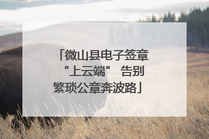微山县电子签章“上云端” 告别繁琐公章奔波路