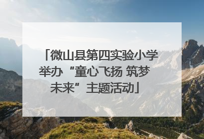 微山县第四实验小学举办“童心飞扬 筑梦未来”主题活动