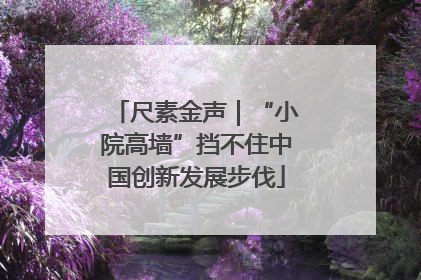 尺素金声｜“小院高墙”挡不住中国创新发展步伐