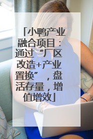 小鸭产业融合项目：通过“厂区改造+产业置换”，盘活存量，增值增效