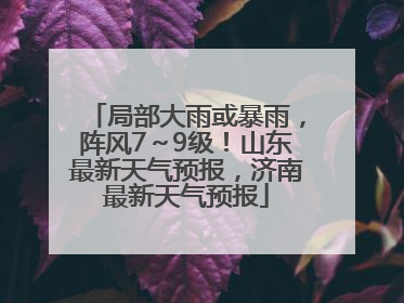 局部大雨或暴雨，阵风7～9级！山东最新天气预报，济南最新天气预报
