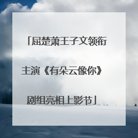 屈楚萧王子文领衔主演《有朵云像你》剧组亮相上影节