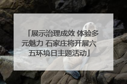 展示治理成效 体验多元魅力 石家庄将开展六五环境日主题活动