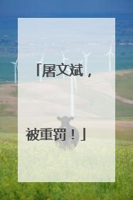 屠文斌，被重罚！